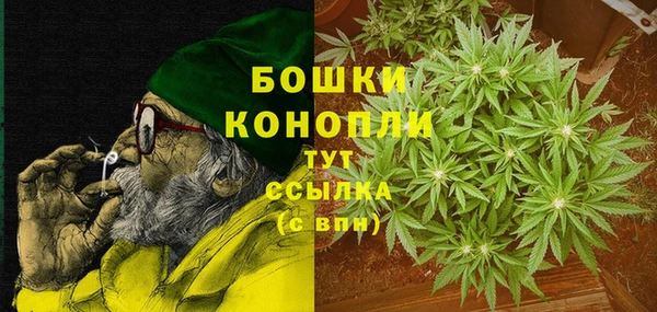 стаф Балахна